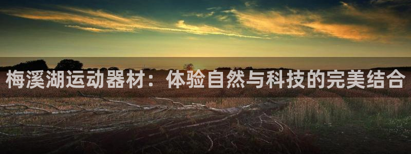 678体育官网下载平台注册要钱吗:梅溪湖运动器材:体验自然与